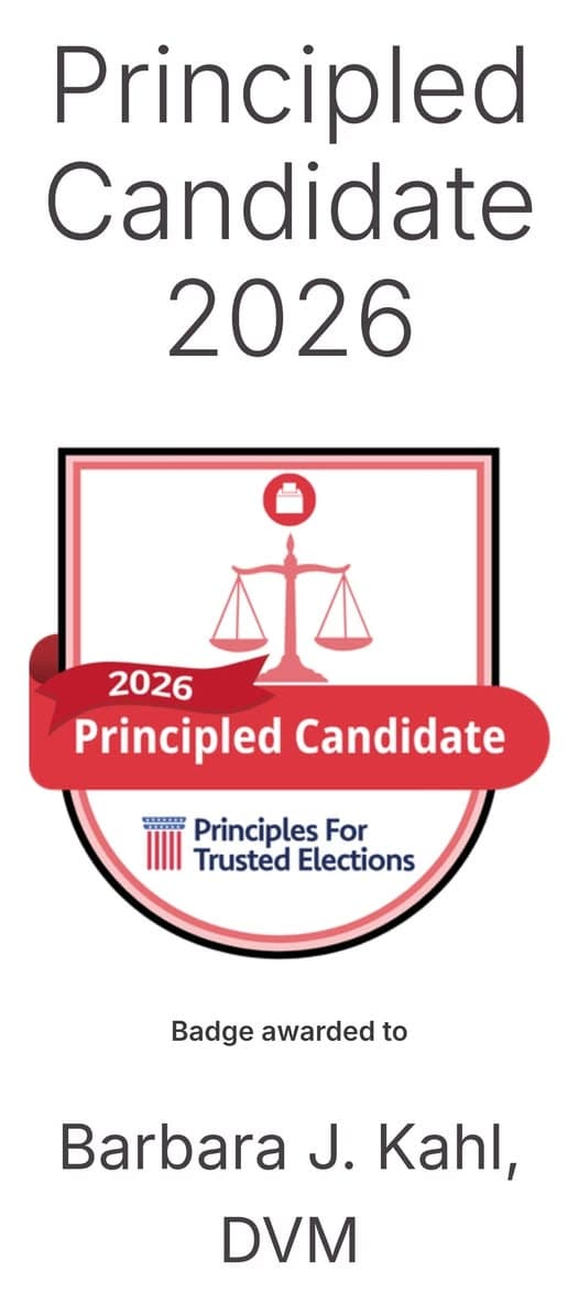 Principles for Trusted Elections